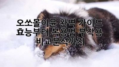 오쏘몰이뮨💊 완벽 가이드: 효능부터 복용법, 부작용, 비교분석까지!