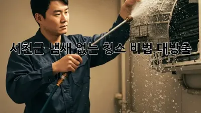 🏡 서천군 냄새 없는 청소 비법 대방출! 💨